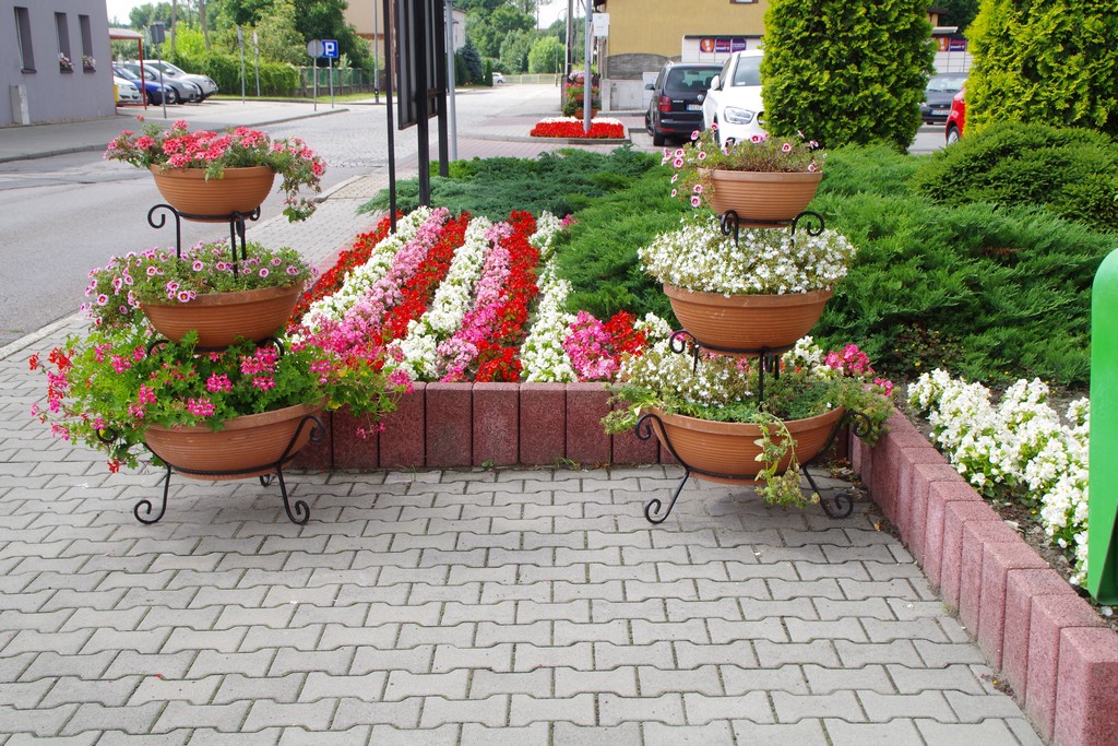 zdjęcie przedstawia aranżacje kwiatowe na terenie Miasta Kalety